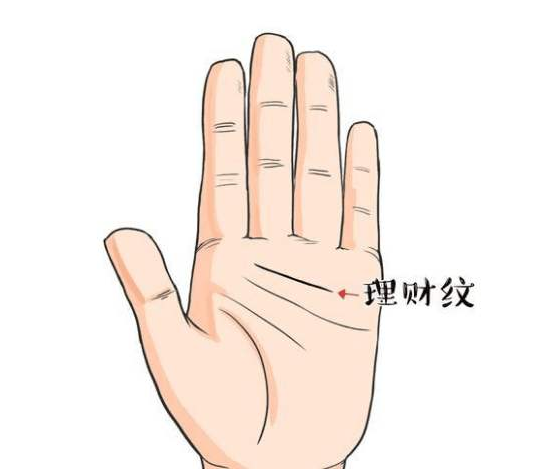 理财纹明显的女人 理财纹明显的女人