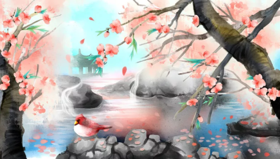 什么是桃花位? 什么是桃花位?