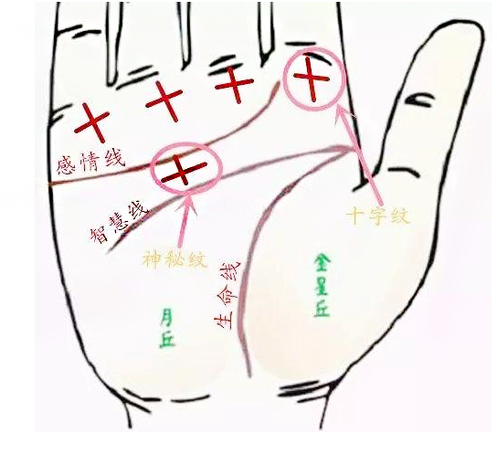 感情线下方有十字纹 感情线下方有十字纹