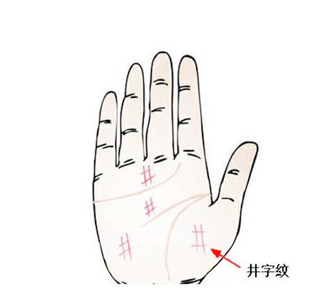 拥有星形纹 拥有星形纹