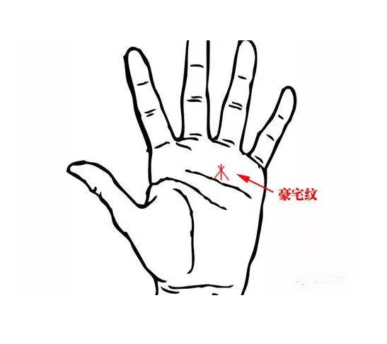 手掌看财运 手掌看财运