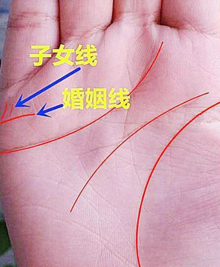 找到婚姻线